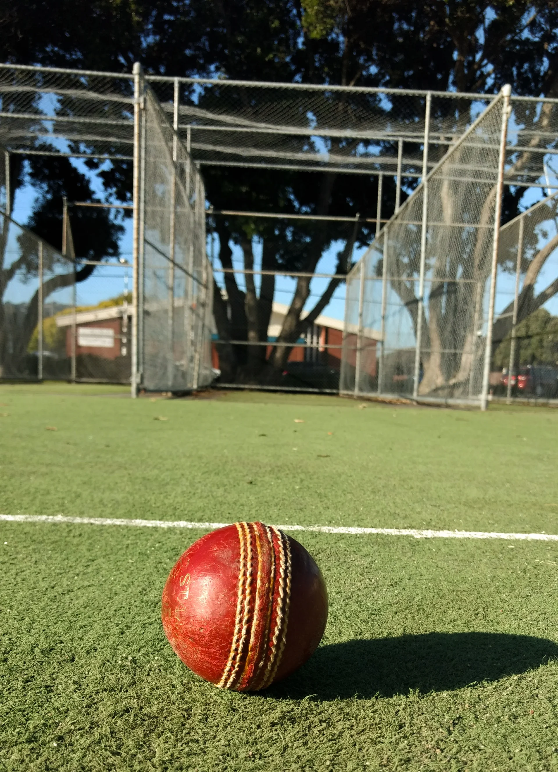 c323212ab6cab23f00e529c1ccc995ed743cb53d